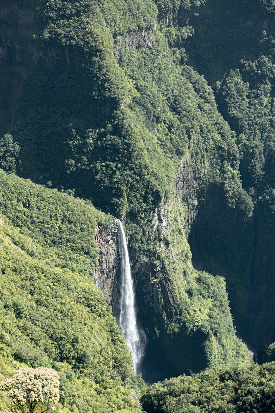La Réunion accessible